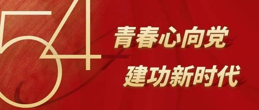 复仇机器人中文版